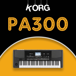 Pa300