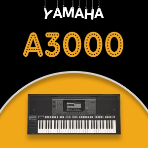 A3000