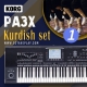 Kurdish Korg Pa3x set-1